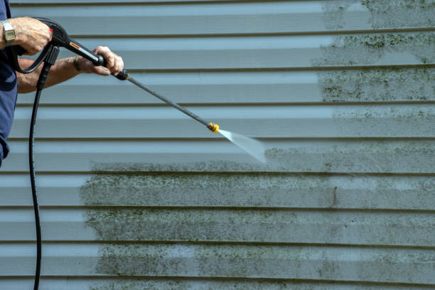 Animal Enclosure Cleaning in Cambria, CA